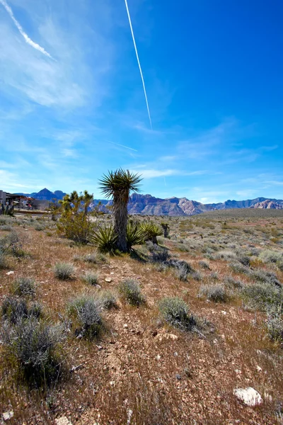 Blick auf die Mojave-Wüste. — Stockfoto