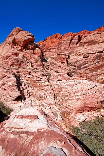 mojave çöl manzarası.