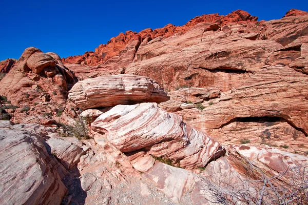 stock image View of Mojave Desert.