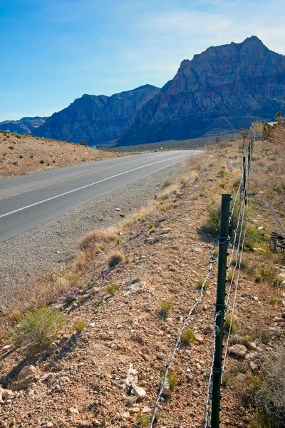 View of Mojave Desert. — Stock Photo, Image