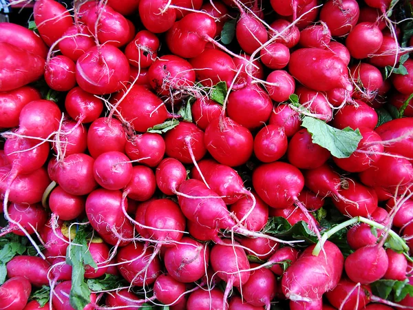 stock image A bunch of red radishes at the farmer's market.