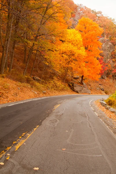 Gyönyörű őszi színek, az ország közúti. — Stock Fotó