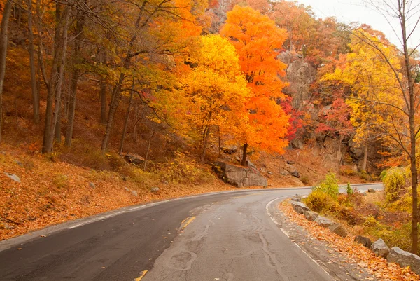 Beautiful fall colors by the country road. — Stock Photo, Image