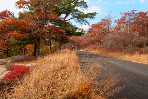 田舎道で美しい秋の色. — ストック写真