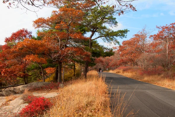 Hermosos colores de otoño por el camino del campo . — Foto de Stock