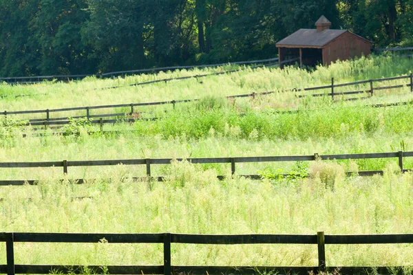 Dřevěné ploty zemědělské půdy. — Stock fotografie