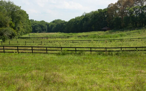 Дерев'яні паркани на сільськогосподарських землях . — стокове фото