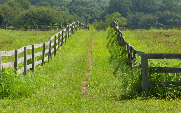 Ancient wooden fence on the farm. — Stock Photo, Image