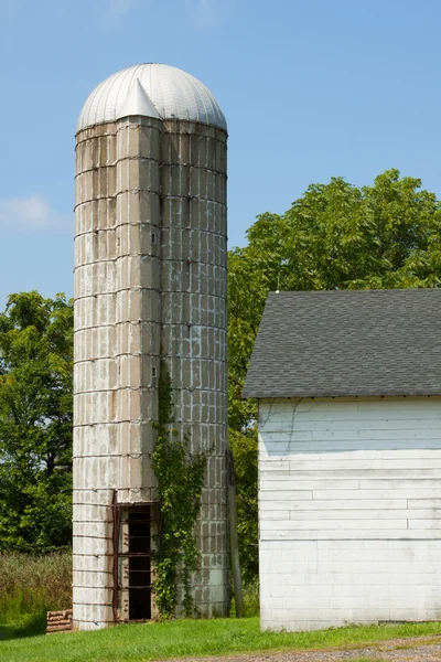 Grain silo on the farmland. — Stock Photo, Image