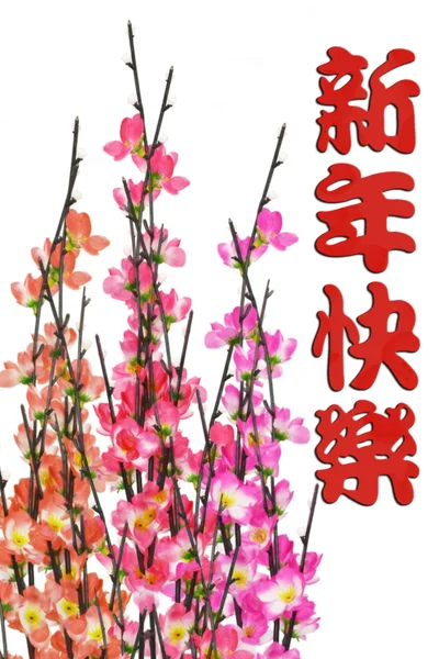 Saudação do Ano Novo Chinês e flor de ameixa — Fotografia de Stock
