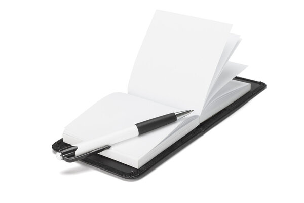 Шариковая ручка на открытой ноте
