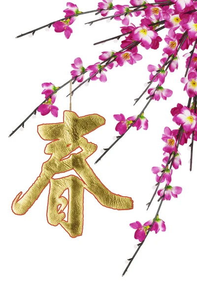 Chinese New Year calligraphy ornament and plum blossoms — Stock Photo, Image