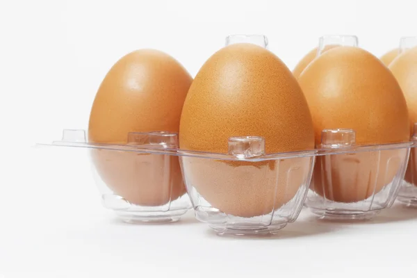 Świeże jaja w plastikowej tacce — Zdjęcie stockowe