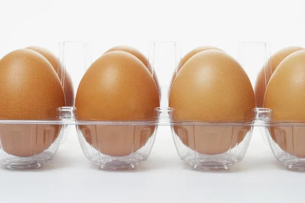 Frische Eier in durchsichtigem Plastiktablett — Stockfoto