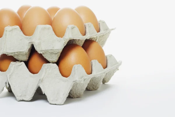 Friss tojás kartondobozban — Stock Fotó