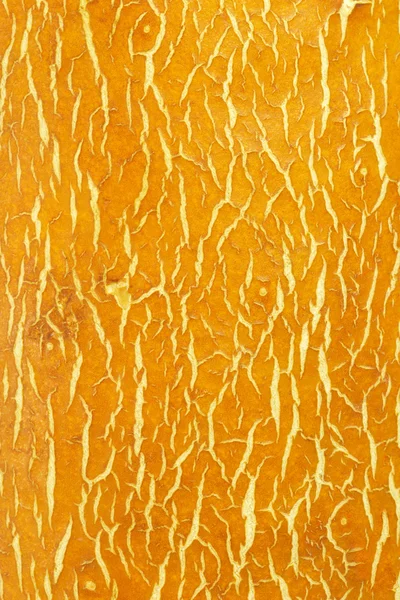 Textura de piel de pepino amarillo chino — Foto de Stock