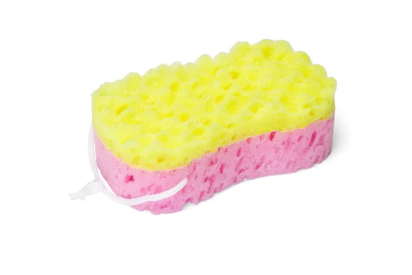 Colorful shower sponge — Stock Photo, Image