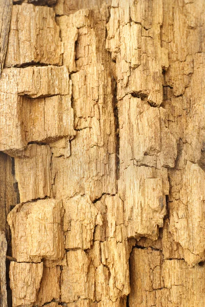 Texture of weathered and cracked wood — Stock Photo, Image