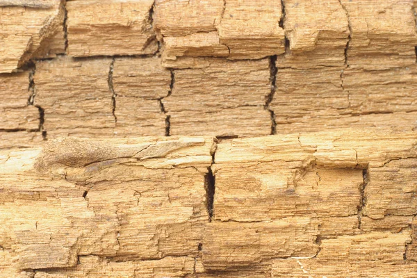 Погодні і тріщини текстури поверхні деревини — стокове фото