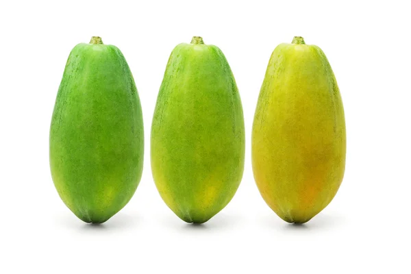 Frutos de papaya en maduración —  Fotos de Stock