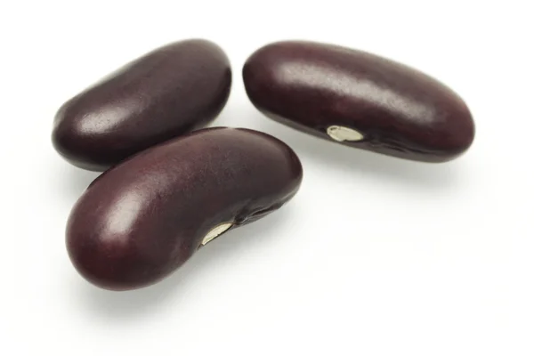 3 つの暗い赤インゲン豆 — ストック写真