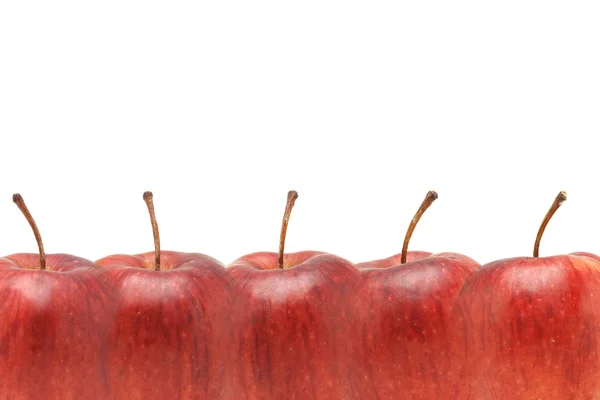 Rote Äpfel Rand — Stockfoto