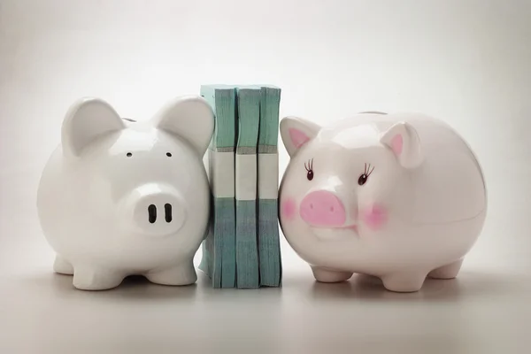 Piggybanks and paper money — Stock Photo, Image