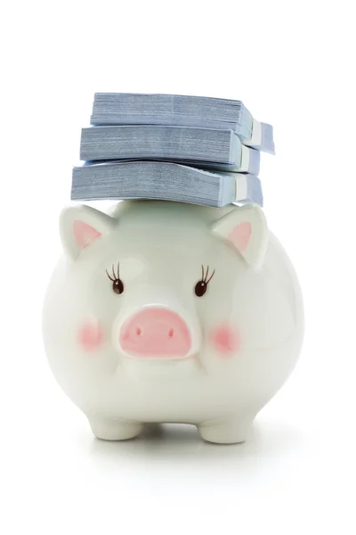 Stacks of money on back of Piggy bank — Stock Photo, Image