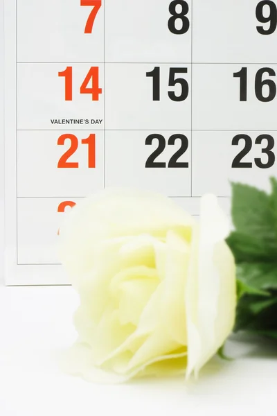 Rosa amarilla junto a la página del calendario que muestra el día de San Valentín —  Fotos de Stock