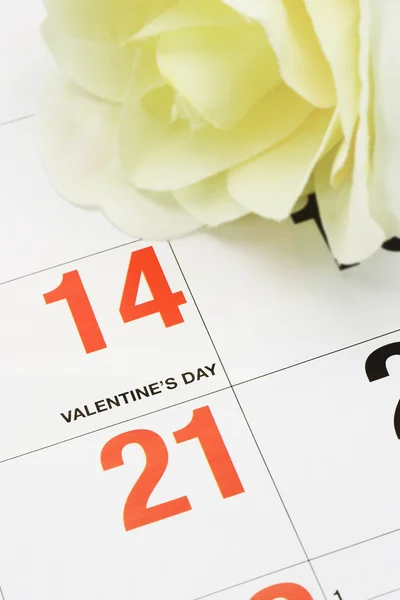 Valentijnsdag — Stockfoto