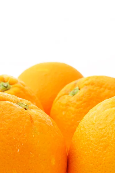 Sinaasappelen op wit — Stockfoto