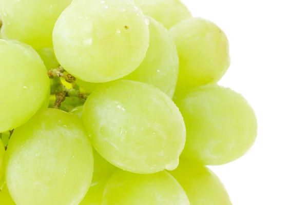 stock image Bunch of green grapes