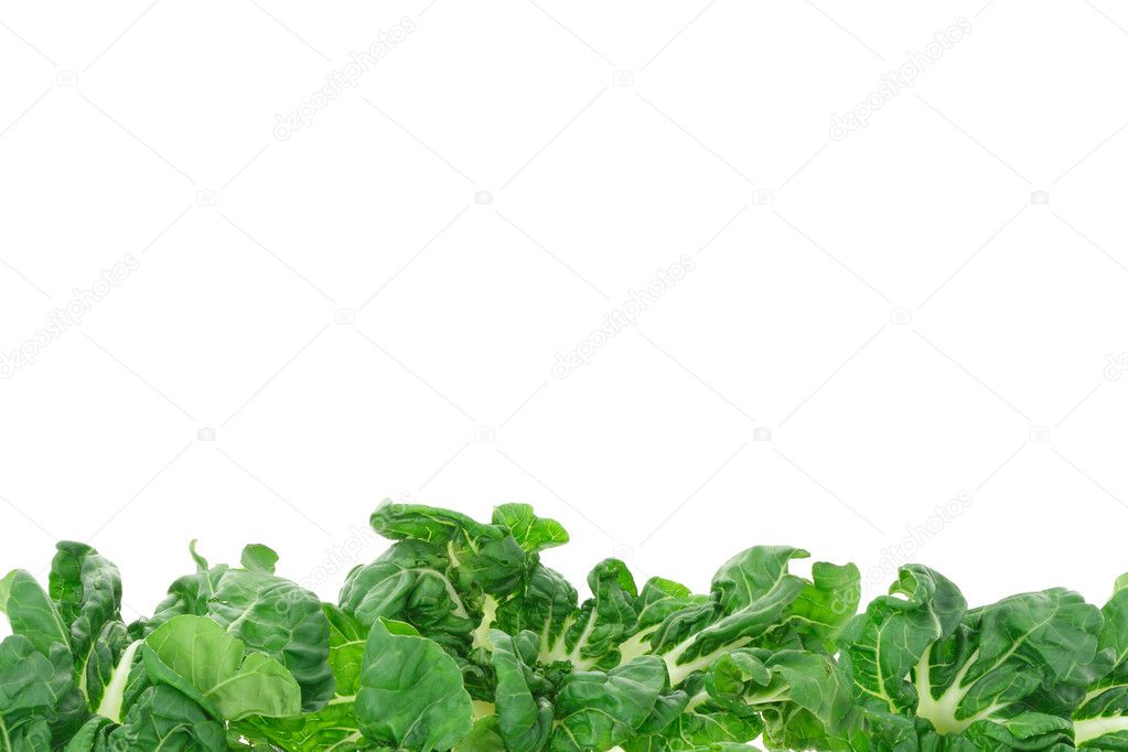 Green vegetable border