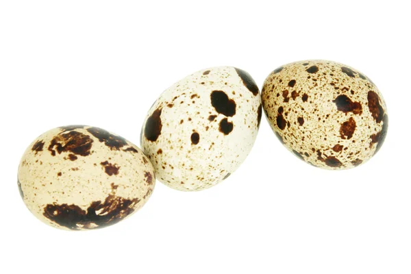 3 메 추 라 기 달걀 — 스톡 사진