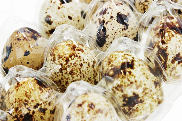Quail eggs in plastic casing — Stock Photo, Image
