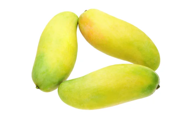 Three mangoes — Stock Photo, Image