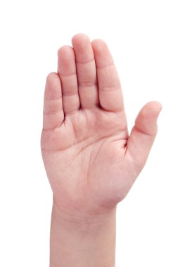 Palm açın