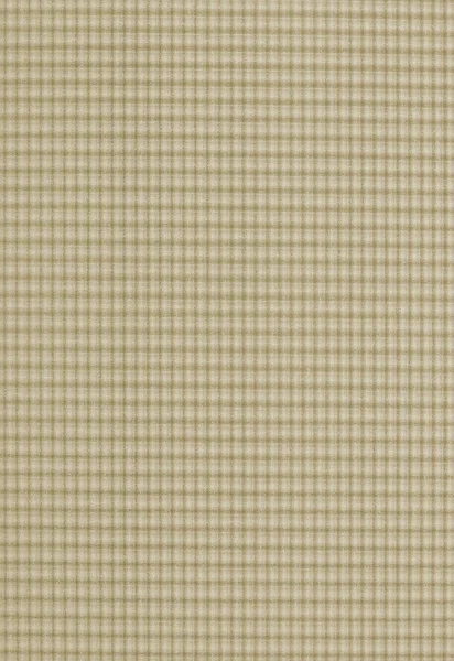 Geruit patroon in beige kleur — Stockfoto