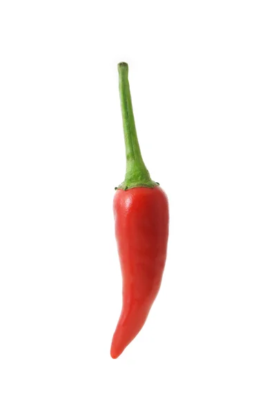 Chili rojo picante —  Fotos de Stock