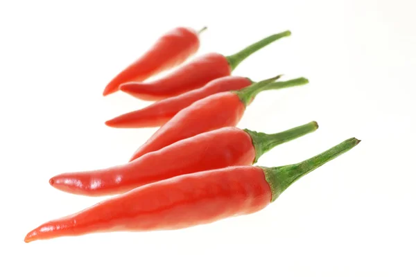 Pimentões quentes vermelhos — Fotografia de Stock