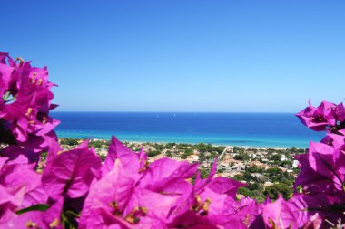 Italian seascape framed by bouganvillea plant. Costa Rei - Sardinia - Italy clipart