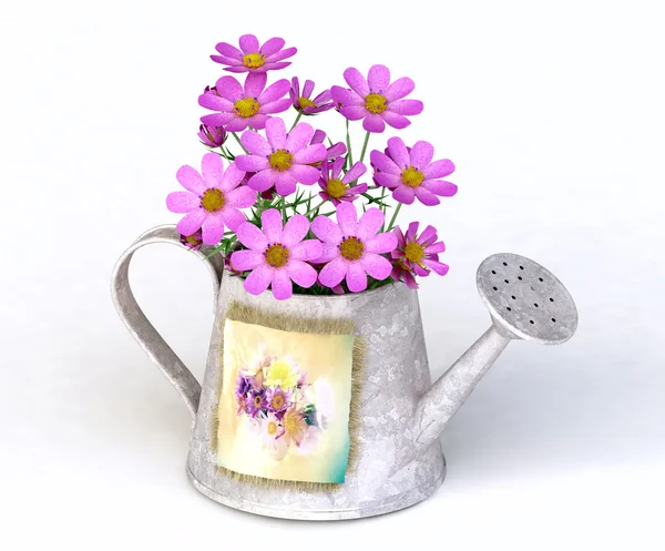 Metalowy kanister na wodę z różowymi kwiatami kosmosu — Zdjęcie stockowe
