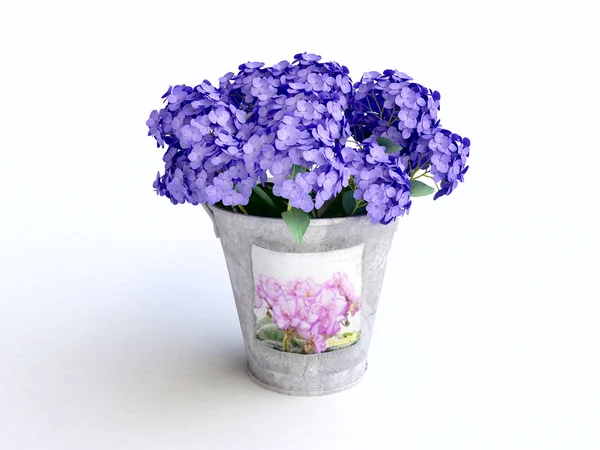 Cubo con hortensias azules — Foto de Stock