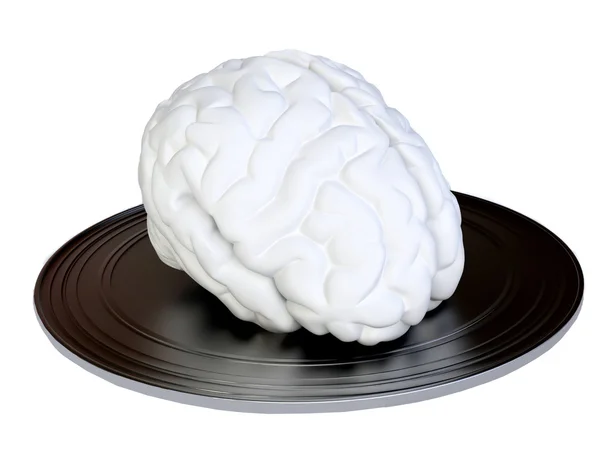 Human brain on tray Stock Photo