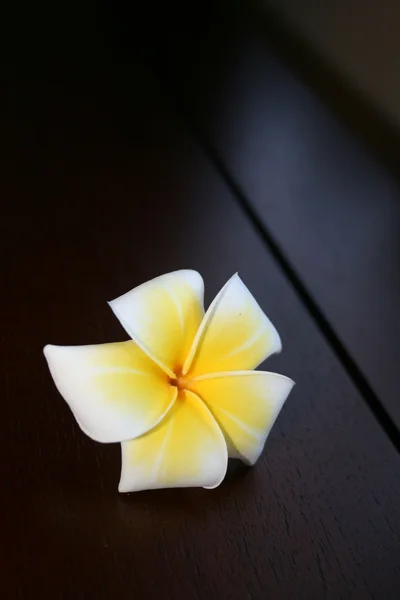 stock image White tropical flower on a wooden surface