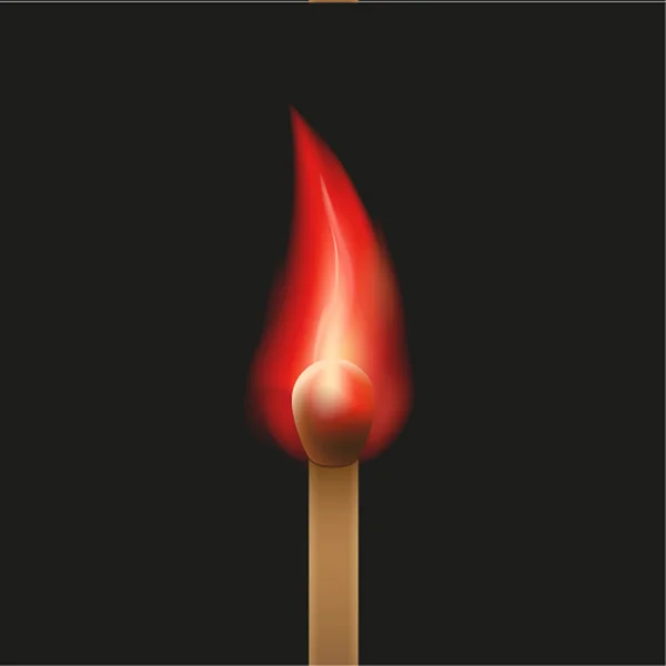 Burning match — Stock Vector