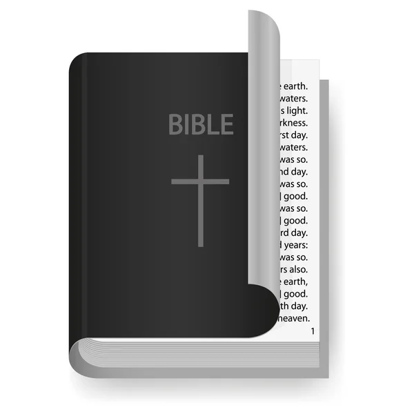 Vector Bible for your design — Stock Vector