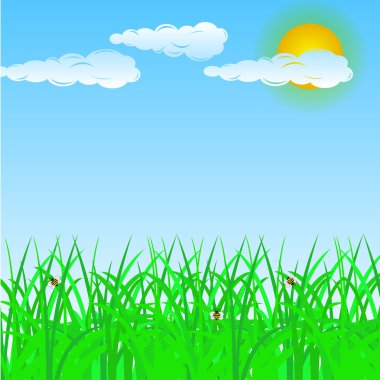 Beautiful summer background for your design