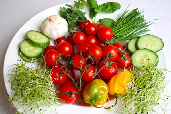 stock image Healthy vegetables