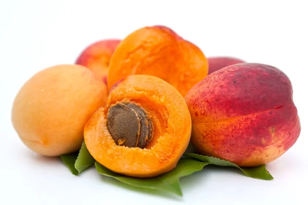 stock image Apricot